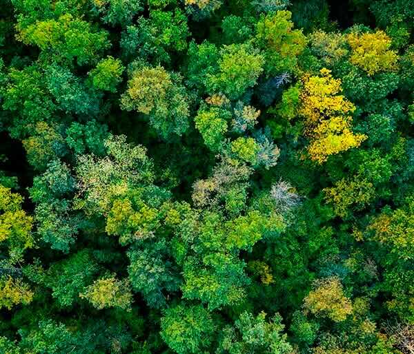 ESG strategy Need help with a ESG strategy?