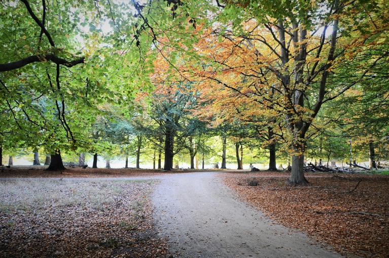 Learn more about the EU taxonomy and how it helps guide businesses towards sustainable practices and green investments